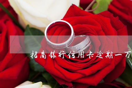 招商银行信用卡逾期一万五 招商银行信用卡逾期一万五