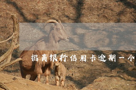招商银行信用卡逾期一个周 招商银行信用卡逾期一个周