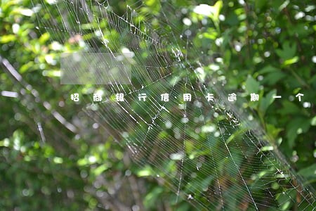 招商银行信用卡逾期一个月上征信 招商银行信用卡逾期一个月上征信