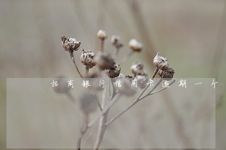招商银行信用卡逾期一个月了 招商银行信用卡逾期一个月了