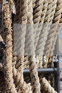 招商银行信用卡逾期一个月卡冻结 招商银行信用卡逾期一个月卡冻结