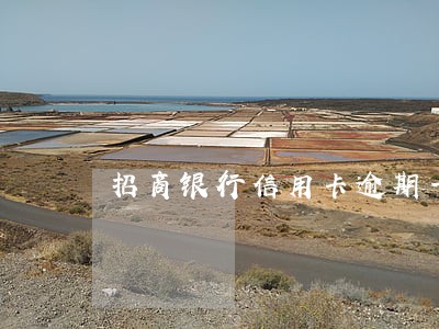 招商银行信用卡逾期一周怎么办