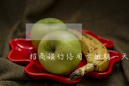 招商银行信用卡逾期一天怎么样
