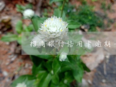 招商银行信用卡逾期一天还款6 招商银行信用卡逾期一天还款6