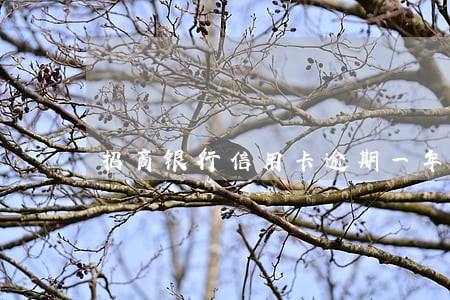 招商银行信用卡逾期一年怎么还
