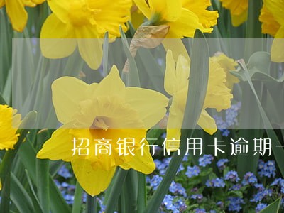 招商银行信用卡逾期一年没还