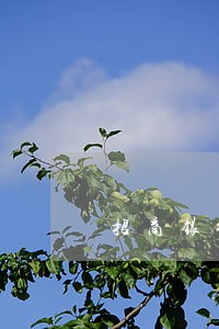 招商银行信用卡逾期一次会怎么样 招商银行信用卡逾期一次会怎么样