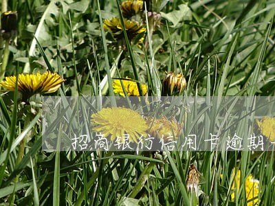 招商银行信用卡逾期一直
