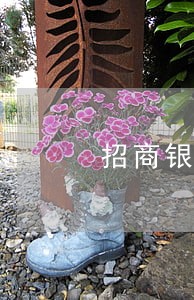 招商银行信用卡逾期一般几天