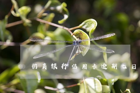招商银行信用卡逾期七日 招商银行信用卡逾期七日
