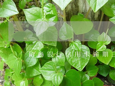 招商银行信用卡逾期三年未还 招商银行信用卡逾期三年未还