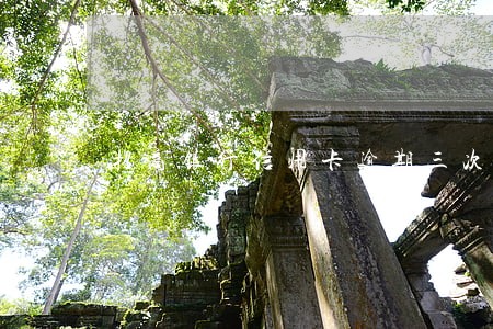 招商银行信用卡逾期三次 招商银行信用卡逾期三次