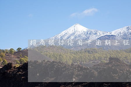 招商银行信用卡逾期上征信 招商银行信用卡逾期上征信