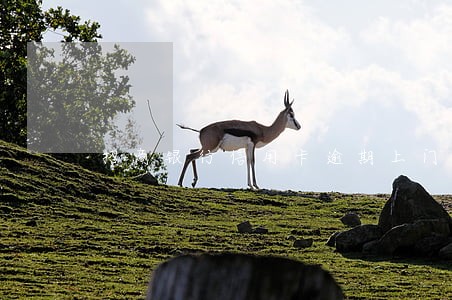 招商银行信用卡逾期上门说报警 招商银行信用卡逾期上门说报警