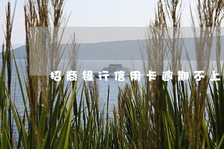 招商银行信用卡逾期不上征信 招商银行信用卡逾期不上征信