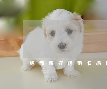 招商银行信用卡逾期不会还 招商银行信用卡逾期不会还