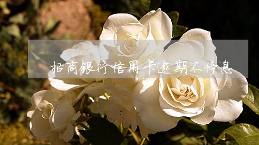 招商银行信用卡逾期不停息 招商银行信用卡逾期不停息