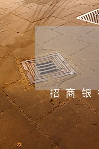 招商银行信用卡逾期不协商要查账