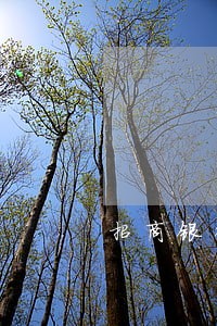 招商银行信用卡逾期不管会判刑吗 招商银行信用卡逾期不管会判刑吗
