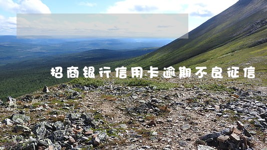 招商银行信用卡逾期不良征信 招商银行信用卡逾期不良征信