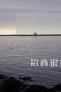 招商银行信用卡逾期两万二 招商银行信用卡逾期两万二