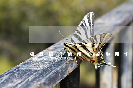 招商银行信用卡逾期两个个月