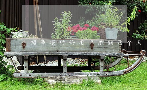 招商银行信用卡逾期两个月十五万 招商银行信用卡逾期两个月十五万