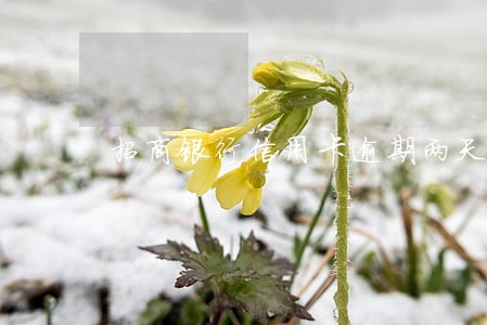 招商银行信用卡逾期两天了怎么办 招商银行信用卡逾期两天了怎么办