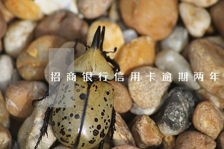 招商银行信用卡逾期两年了会扣吗 招商银行信用卡逾期两年了会扣吗