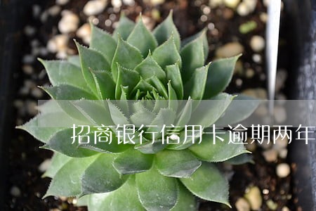 招商银行信用卡逾期两年会怎么样 招商银行信用卡逾期两年会怎么样