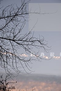 招商银行信用卡逾期两次了 招商银行信用卡逾期两次了
