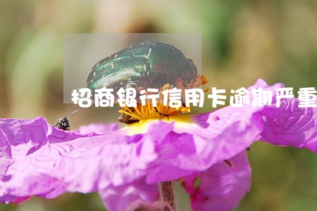 招商银行信用卡逾期严重吗 招商银行信用卡逾期严重吗