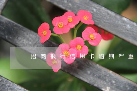 招商银行信用卡逾期严重报案 招商银行信用卡逾期严重报案