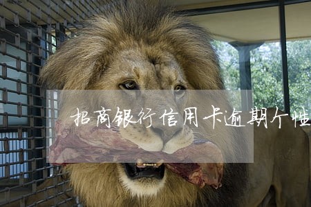 招商银行信用卡逾期个性化分期