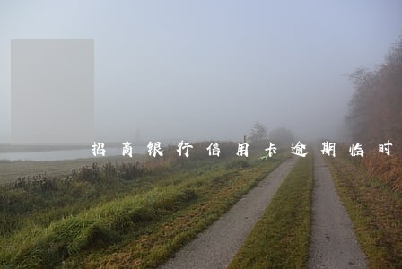 招商银行信用卡逾期临时额度 招商银行信用卡逾期临时额度