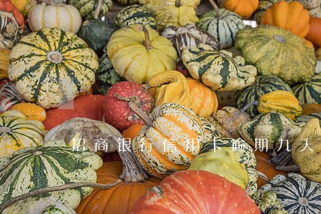 招商银行信用卡逾期九天怎么办 招商银行信用卡逾期九天怎么办