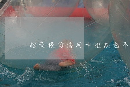 招商银行信用卡逾期也不提醒 招商银行信用卡逾期也不提醒