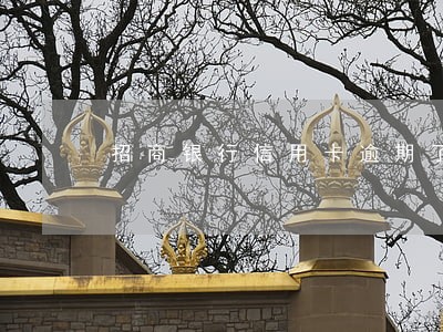 招商银行信用卡逾期了两个月 招商银行信用卡逾期了两个月