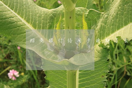 招商银行信用卡逾期了会自动扣 招商银行信用卡逾期了会自动扣