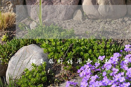 招商银行信用卡逾期了可以协商