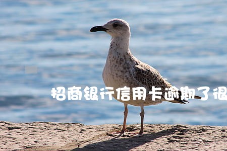 招商银行信用卡逾期了很久