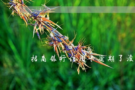 招商银行信用卡逾期了没钱还 招商银行信用卡逾期了没钱还