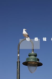 招商银行信用卡逾期了能消除吗 招商银行信用卡逾期了能消除吗