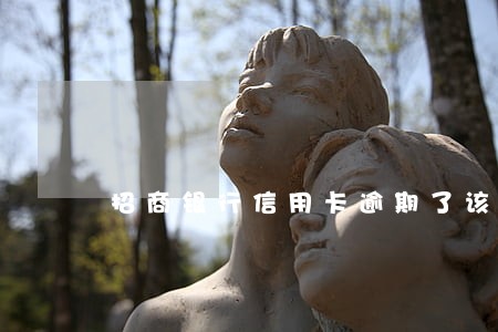 招商银行信用卡逾期了该怎么办