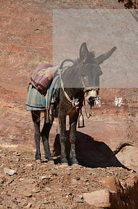 招商银行信用卡逾期了还不钱 招商银行信用卡逾期了还不钱