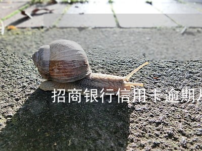 招商银行信用卡逾期从储蓄卡划扣 招商银行信用卡逾期从储蓄卡划扣