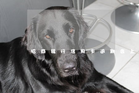 招商银行信用卡逾期会上门要吗 招商银行信用卡逾期会上门要吗