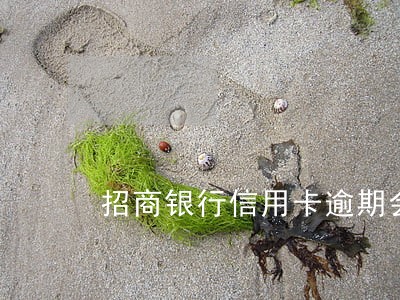 招商银行信用卡逾期会减免吗 招商银行信用卡逾期会减免吗