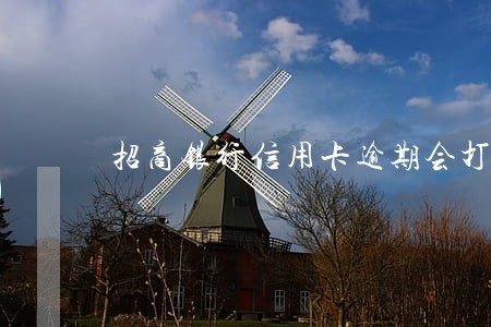 招商银行信用卡逾期会打电话