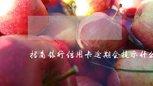 招商银行信用卡逾期会提示什么 招商银行信用卡逾期会提示什么